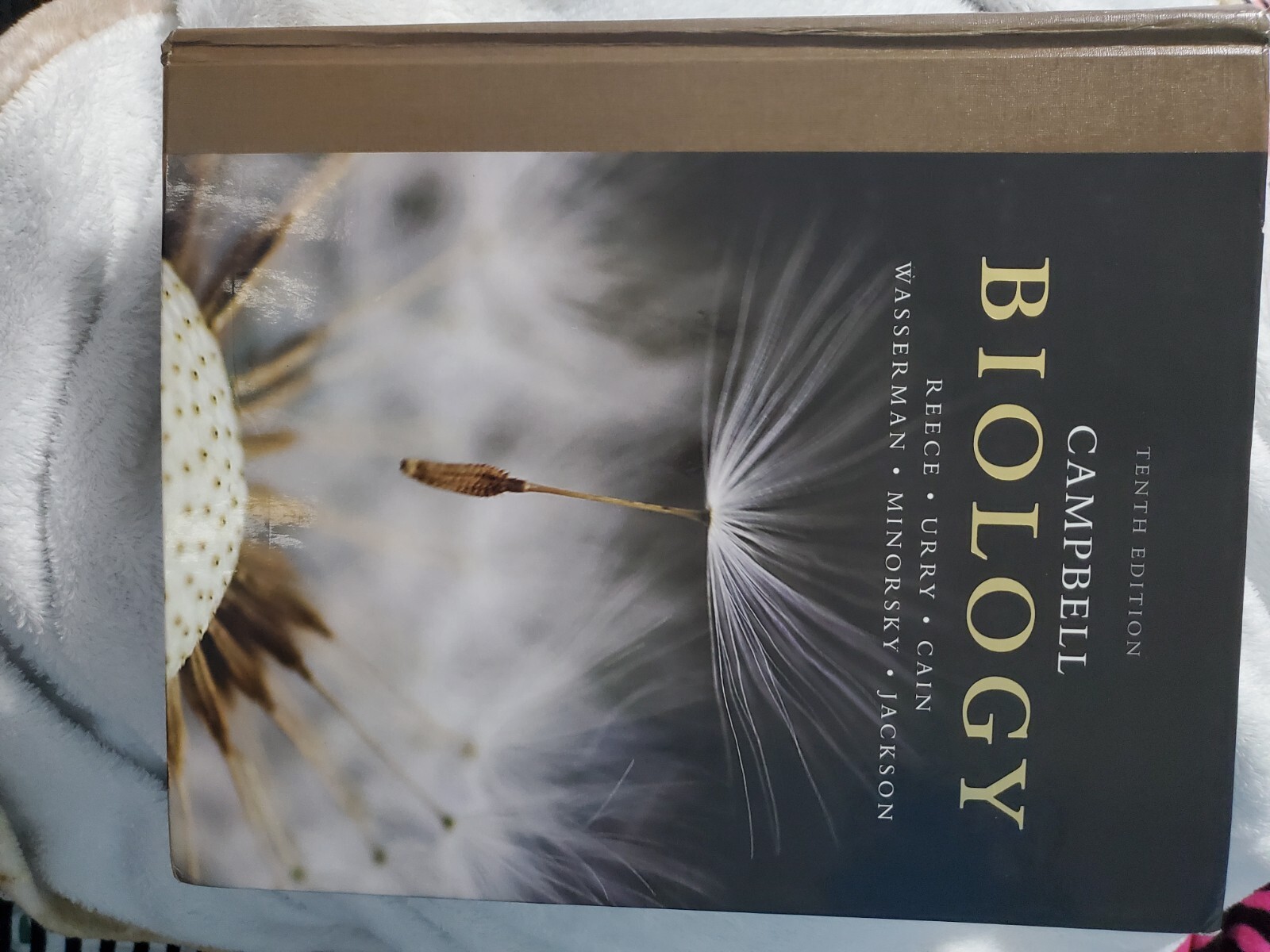 Campbell Biology by Lisa A. Urry, Peter V. Minorsky, Robert B. Jackson, Michael