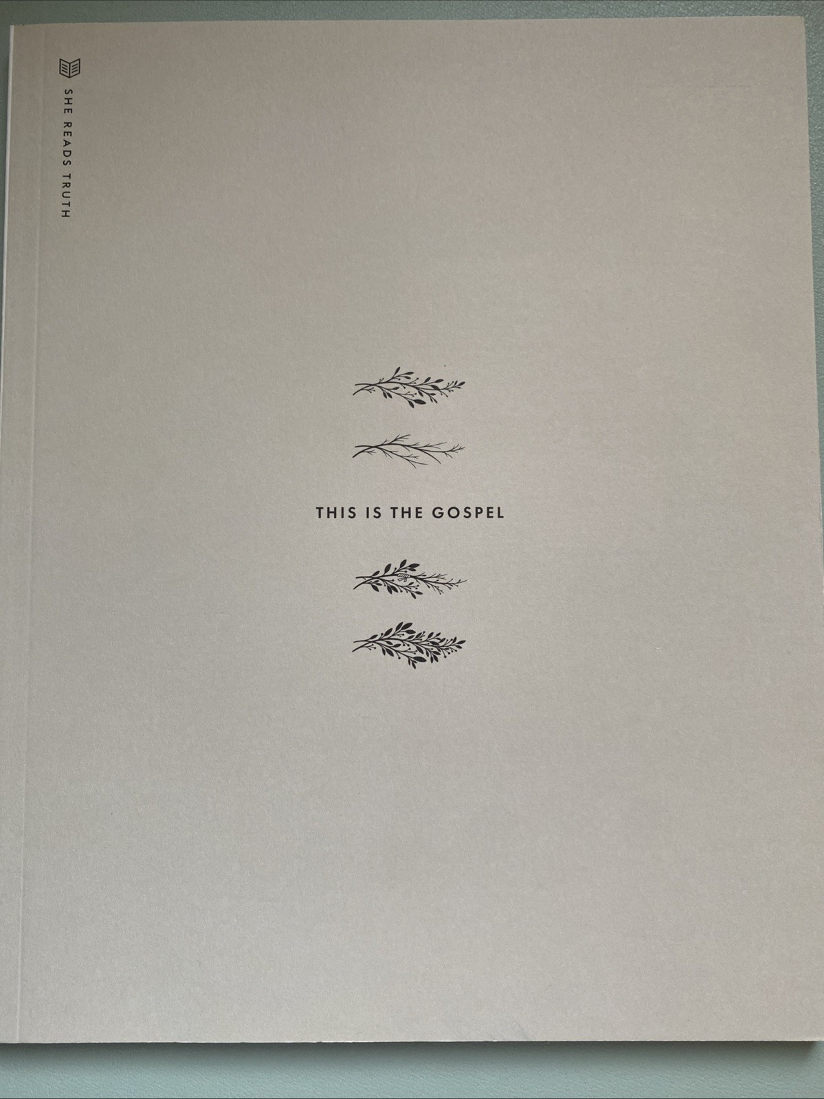 This Is the Gospel SRT 2022 by She Reads Truth (2022, Trade Paperback)