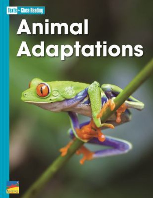 Animal Adaptions Paperback LLC Staff Benchmark Education Co.