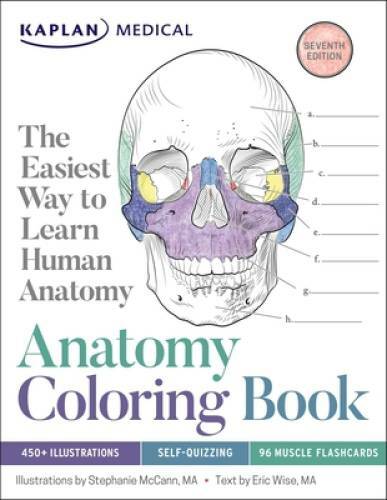 Anatomy Coloring Book – Paperback By McCann, Stephanie – GOOD
