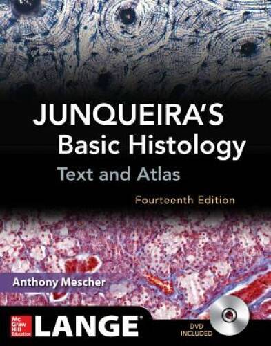 Junqueira’s Basic Histology: Text and Atlas, Fourteenth Edition – GOOD
