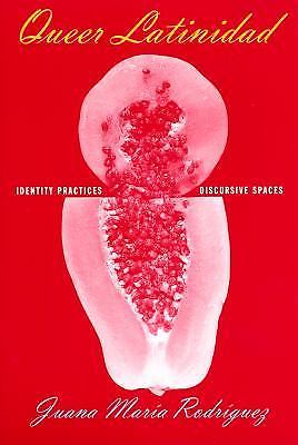 Queer Latinidad: Identity Practices, Discursive Spaces (Sexual Cultures, 24) by