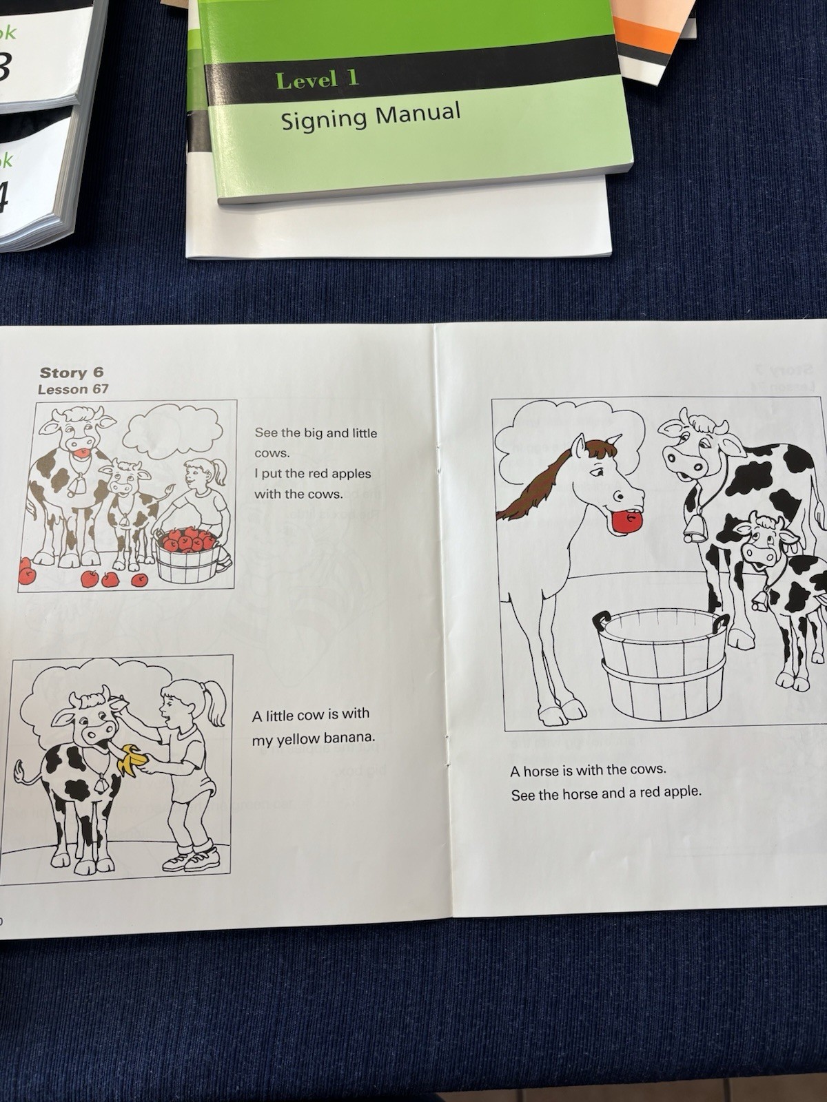 Edmark Reading Program Level 1 First Edition Full Curriculum Kit Nearly Complete