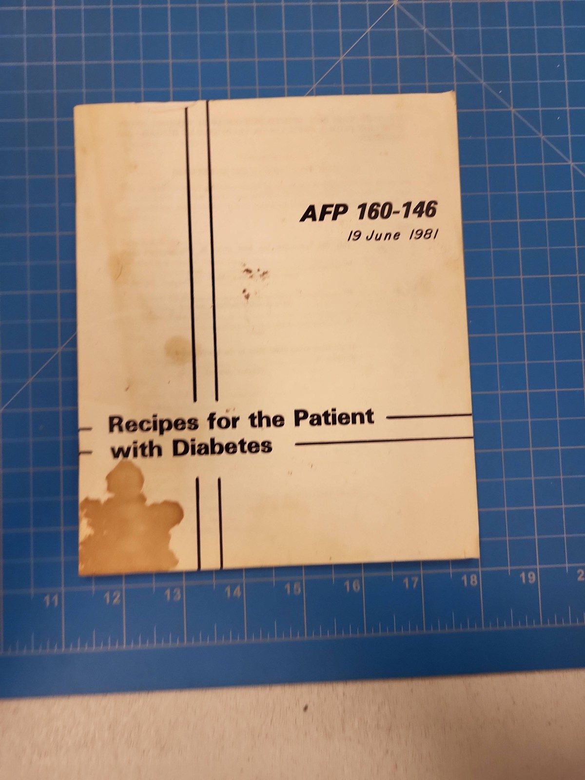 1981 AFP 160-146 Recipes Patient with Diabetes Air Force Medical Pamphlet Vintag