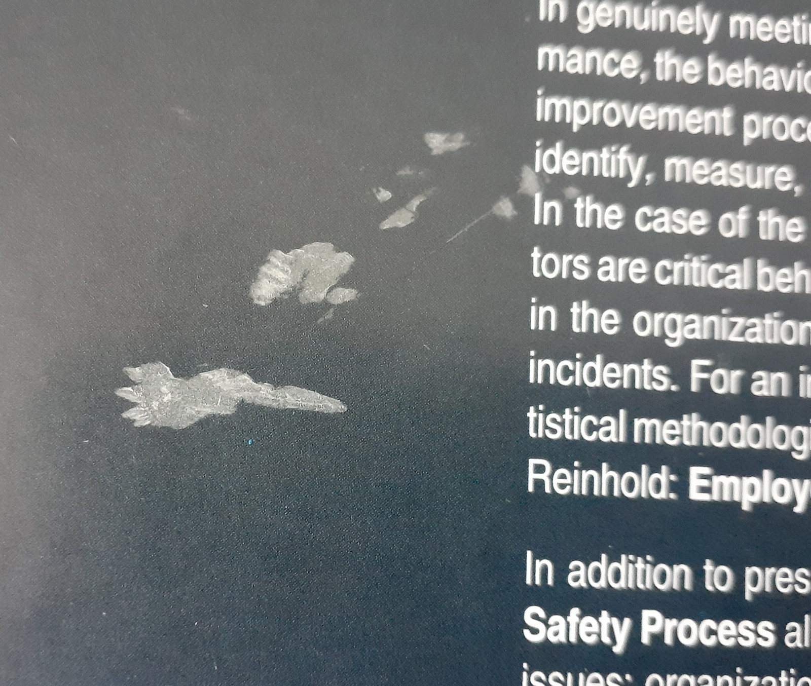 The Behavior-Based Safety Process Thomas R. Krause Second Edition