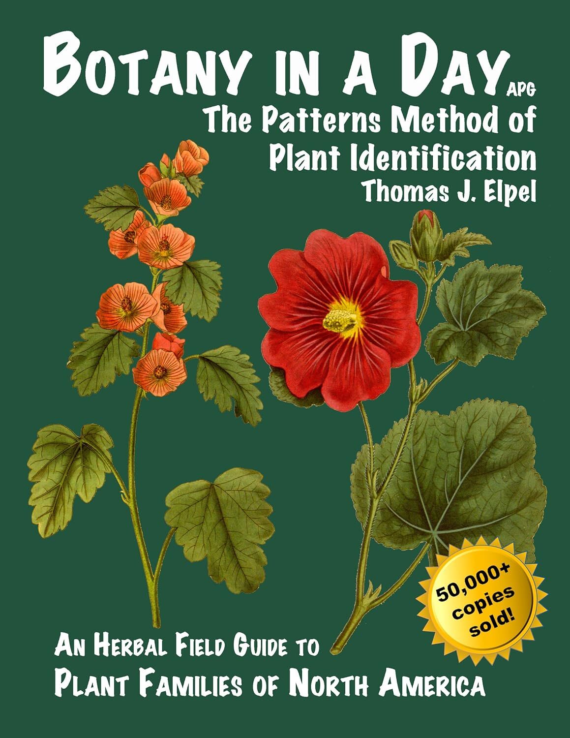 Botany in a Day: The Patterns Method of Plant Identification – Paperback