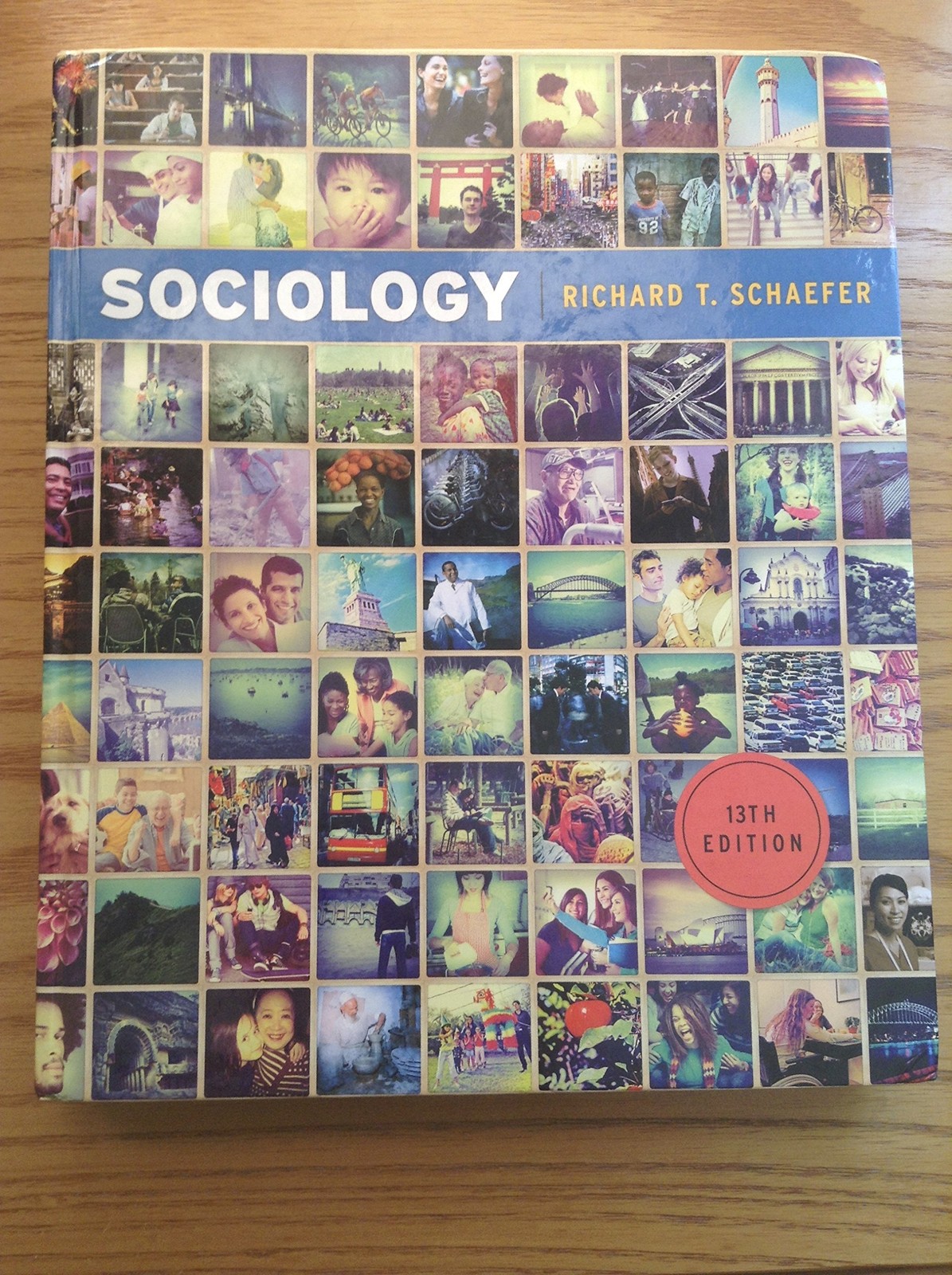 Sociology, 13th Edition