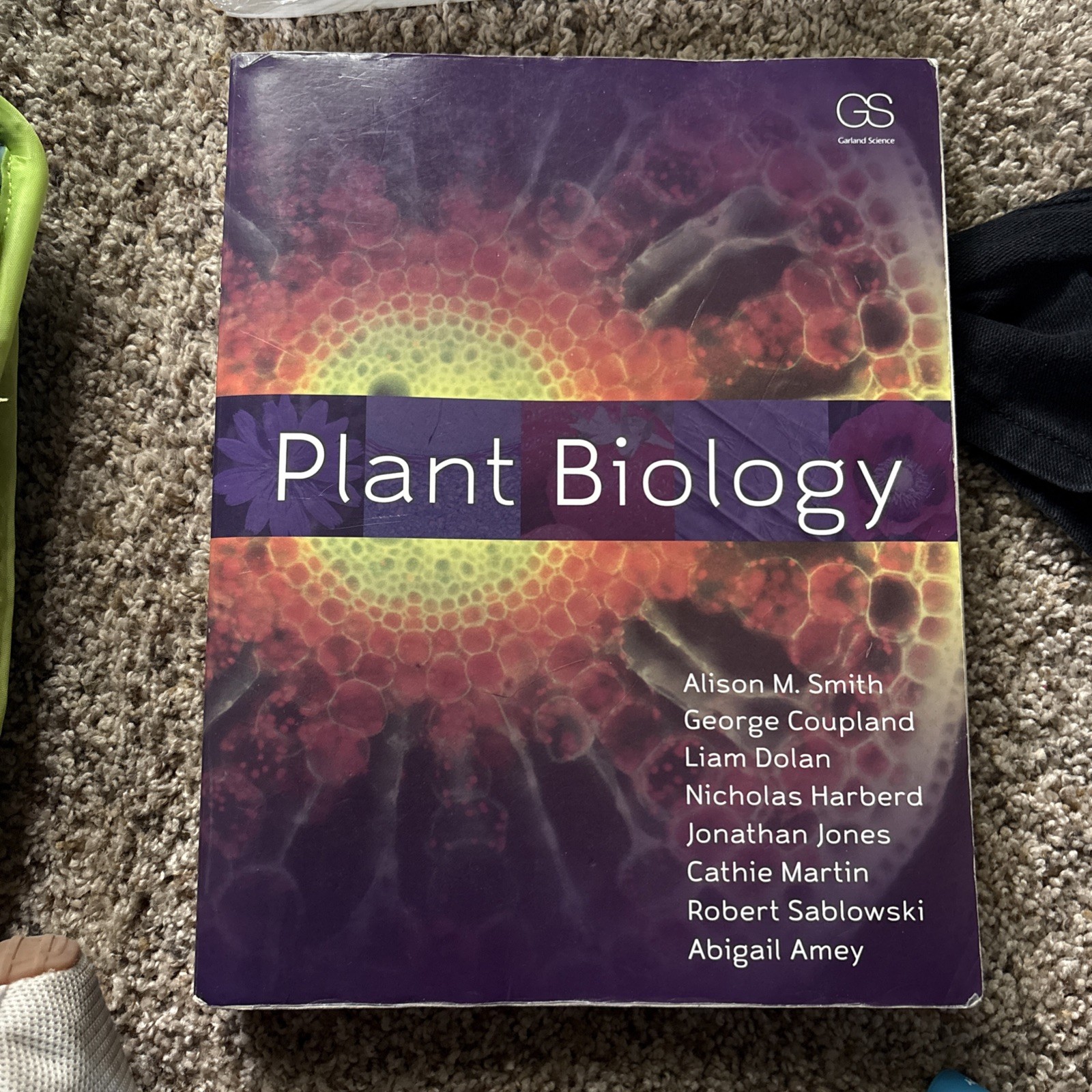 Plant Biology Paperback