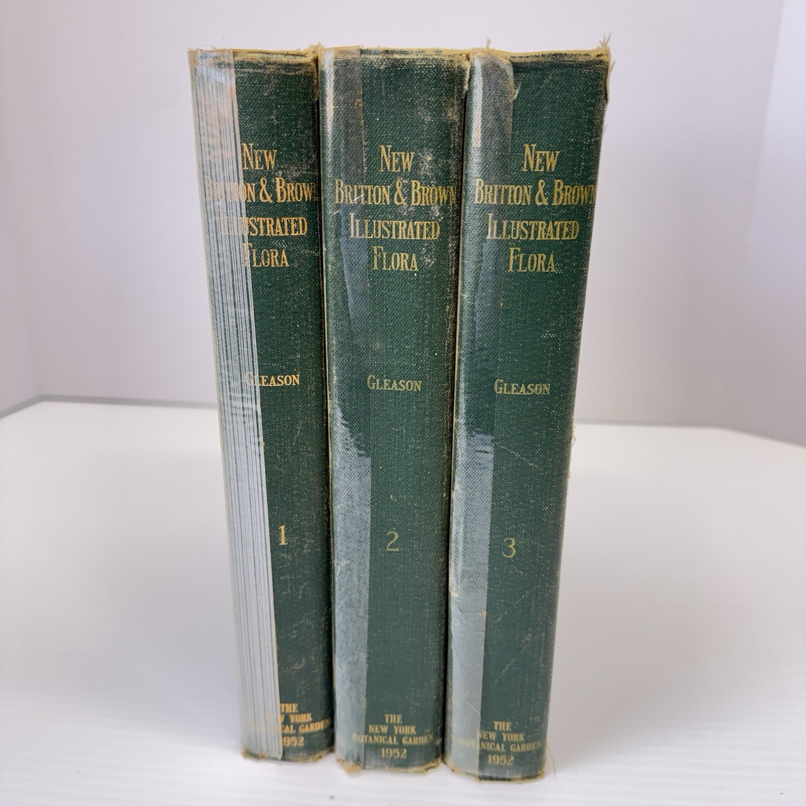 1952 New Britton and Brown Illustrated Flora of United States Gleason Flowers