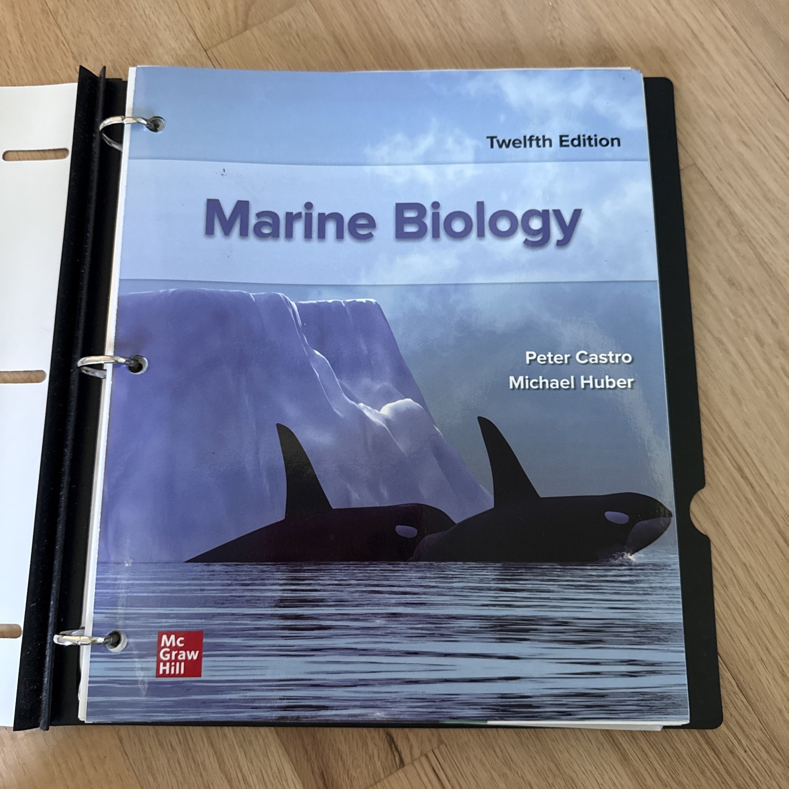LOOSE LEAF FOR MARINE BIOLOGY BY Peter Castro *Good Condition*