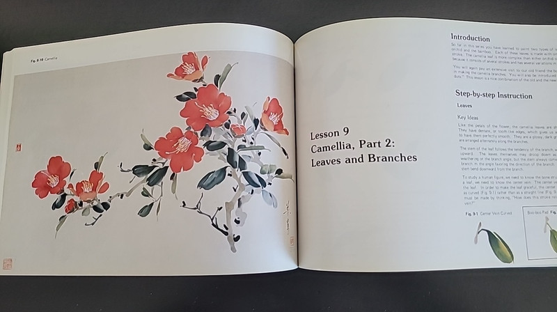 Chinese Brush Painting: An Instructional Guide by Ning Yeh 1988, Trade Paperback gallery