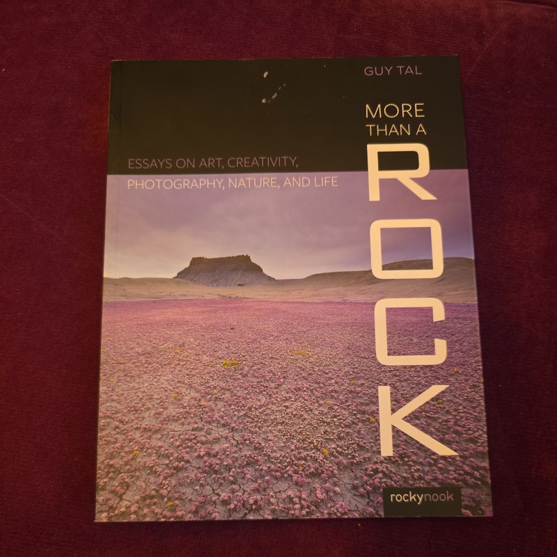 More Than a Rock: Essays on Art, Landscape…, Tal, Guy