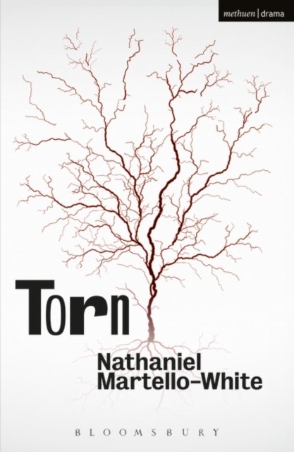 TORN by Nathaniel Martello-White Paperback Self Help Business