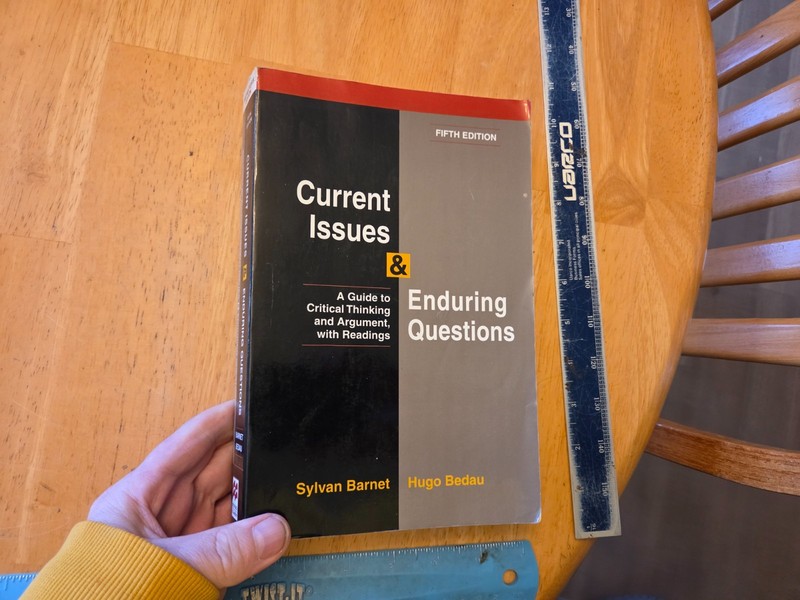 Current Issues and Enduring Questions by Sylvan Barnet (1998, Trade Paperback)