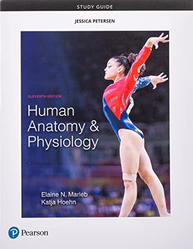 Study Guide for Human Anatomy & Physiology – Paperback – VERY GOOD