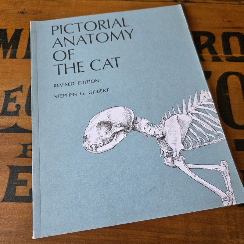 Pictorial Anatomy of the Cat Paperback Book Stephen G. Gilbert