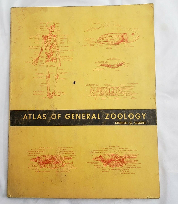 Vintage Atlas Of General Zoology Book Stephen G. Gilbert Vintage Zoology Book