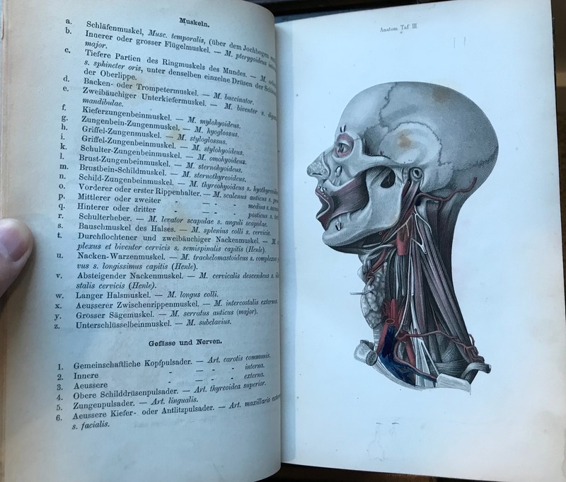 Pitha and Billroth, Handbuch der Igemeinen und speciellen Chirurgie, 1865 gallery