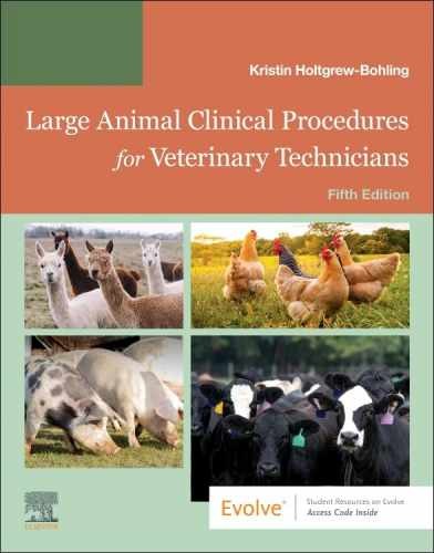 Large Animal Clinical – Paperback, by Holtgrew-Bohling DVM LVT – Very Good