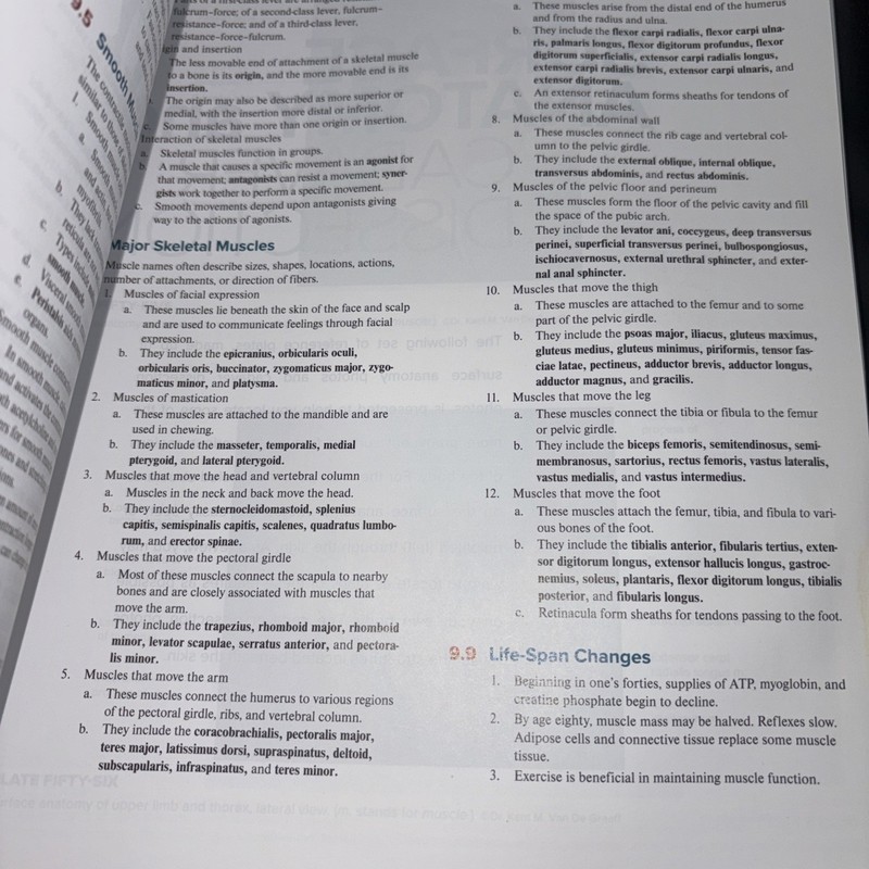 Loose Leaf for Hole's Human Anatomy & Physiology (binder included) gallery