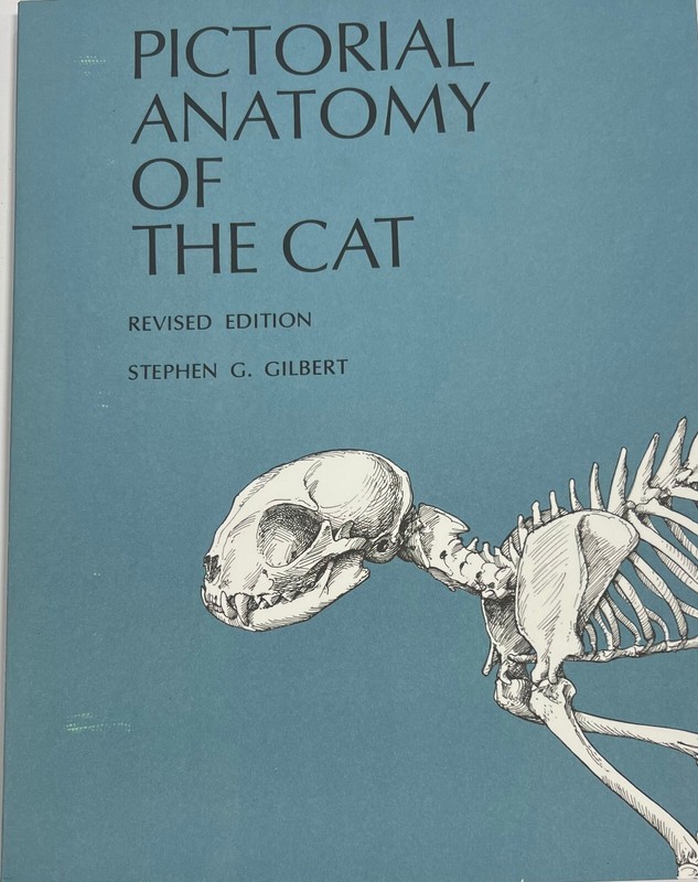 Pictorial Anatomy of the Cat by Stephen G. Gilbert (1975, Trade Paperback)