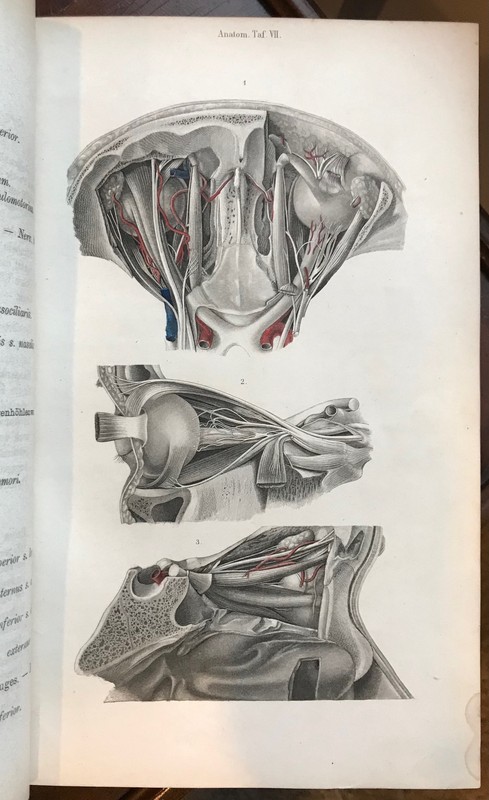 Pitha and Billroth, Handbuch der Igemeinen und speciellen Chirurgie, 1865 gallery