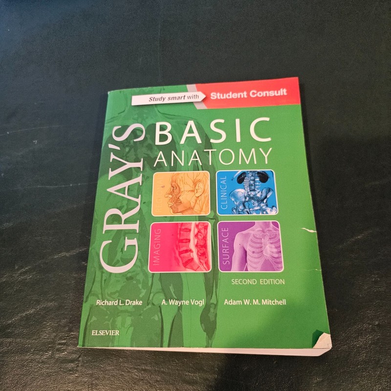 Gray’s Basic Anatomy 2nd Edition , Paperback – GOOD
