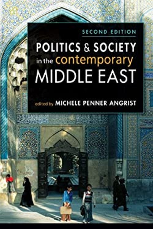 Politics and Society in the Contemporary Middle East Paperback