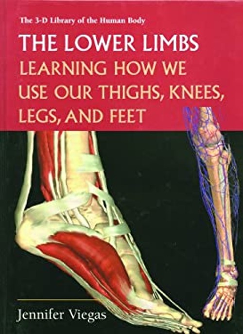 The Lower Limbs : Learning How We Use Our Thighs, Knees, Legs, an