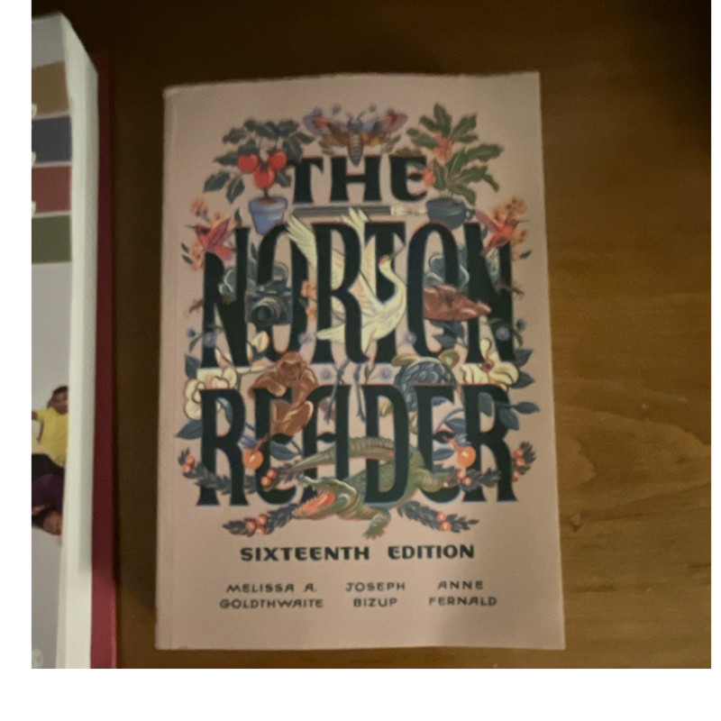 The Norton Reader 16th Ed Goldthwaite Bizup Fernald Paperback W.W. Norton