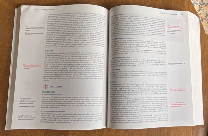 McGraw Hill Sherris & Ryan's Medical Microbiology Eighth Edition Paperback gallery