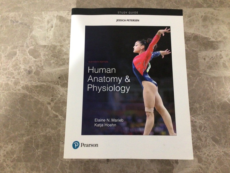 Study Guide for Human Anatomy & Physiology - Paperback - VERY GOOD