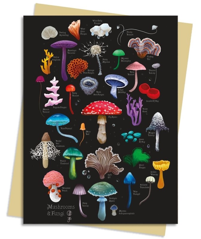Anna Stead: Mushrooms & Fungi Greeting Card Pack: Pack of 6 by Flame Tree Studio