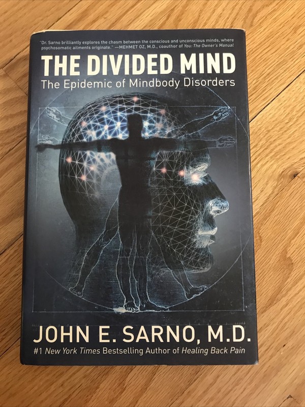 The Divided Mind : The Epidemic of Mindbody Disorders by John E. Sarno (2006,…
