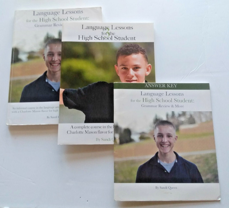 Lot of 3 Language Lessons for High School Students + Teacher Key: Grammar Review