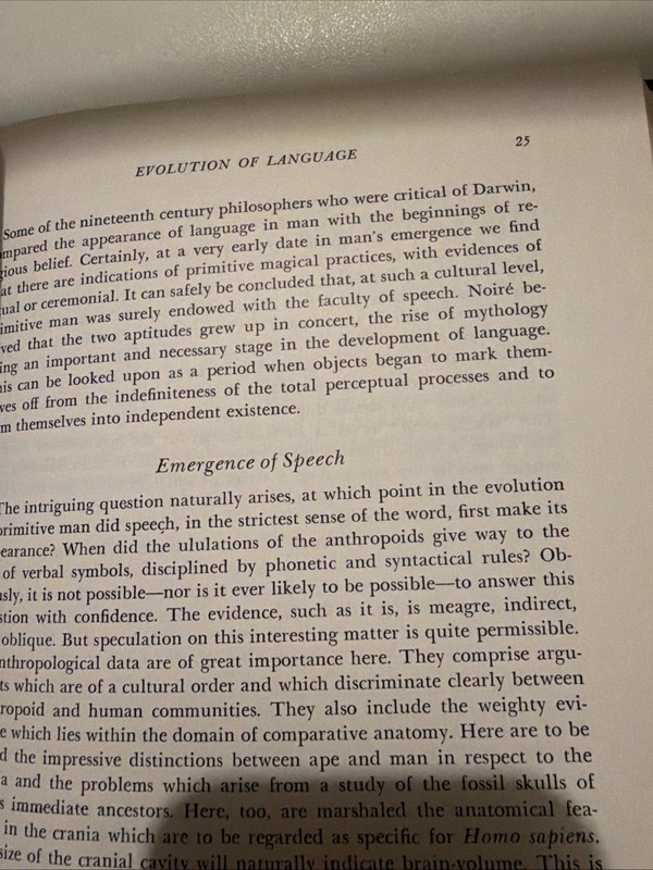 The Divine Banquet of the Brain by Critchley, MacDonald gallery
