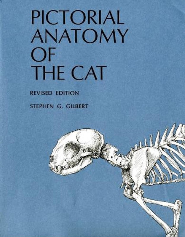 Pictorial Anatomy of the Cat by Stephen G. Gilbert (English) Paperback Book