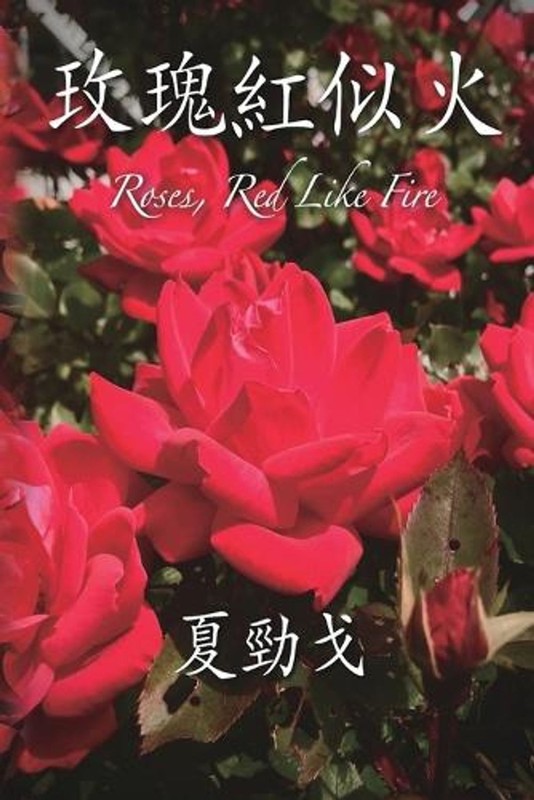 by Jack Jinn-Goe Hsia (Chinese) Paperback Book