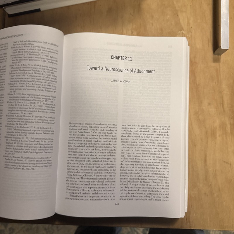 Handbook of Attachment, Second Edition By Shaver (2008, Hardcover) gallery