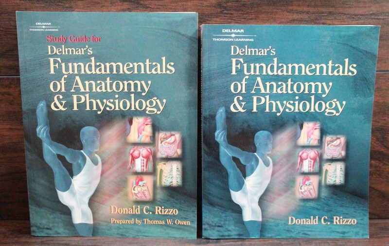 Delmar’s Fundamentals of Anatomy & Physiology Study Guide & Workbook by Rizzo CD