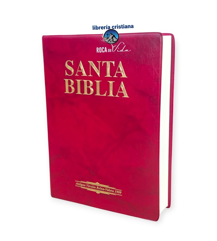 BIBLIA ANTIGUA VERSION REINA VALERA 1909 LETRA GRANDE 12 PUNTOS VINILO Col.Vino