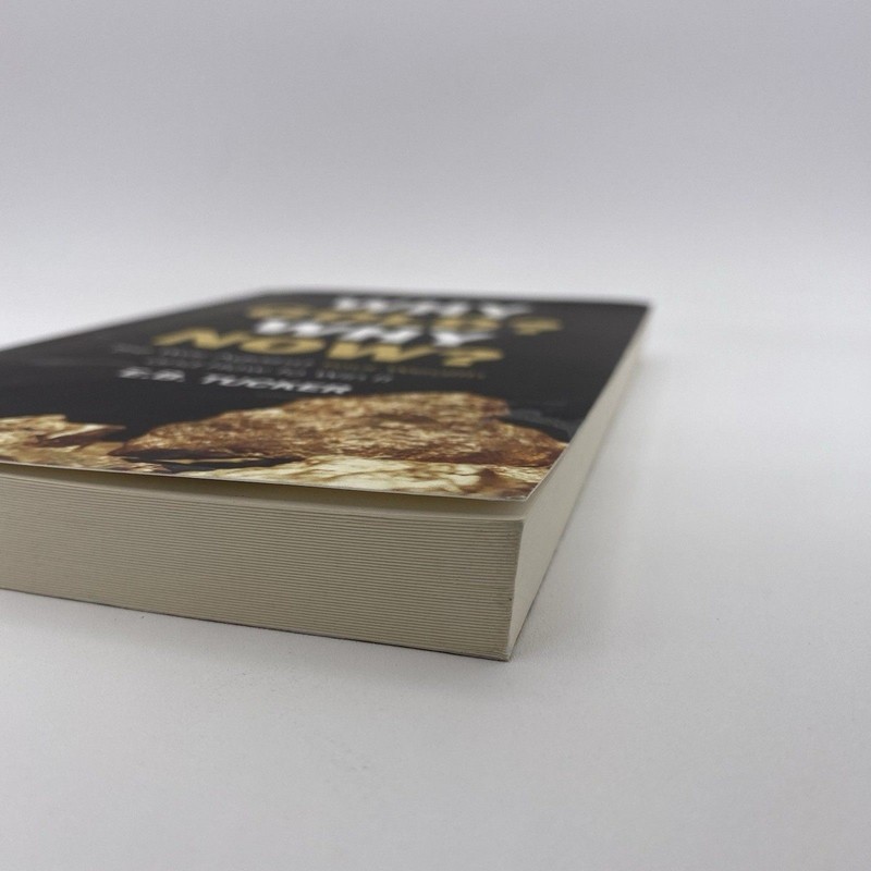 Why Gold? Why Now?: The War Against Your... by Tucker, E.B. Paperback / Softback gallery