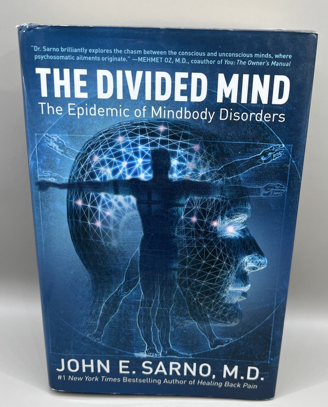 The Divided Mind: The Epidemic of Mindbody Disorders