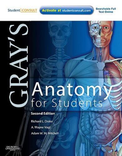 Gray’s Anatomy for Students Second Edition 2nd Paperback Drake Vogl Churchill
