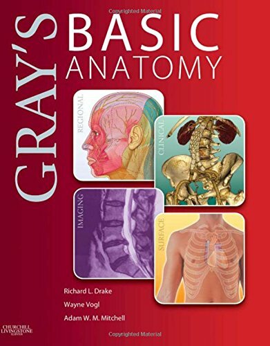 Gray's Basic Anatomy by Richard Drake