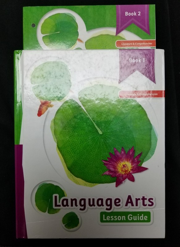 Language Arts K12 Literature & Comprehension Lesson Guide and Activity Books