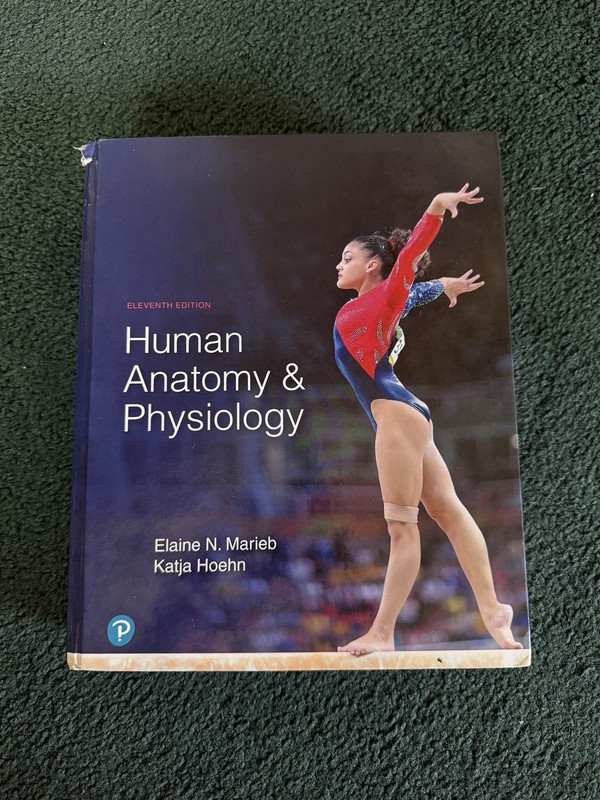 Human Anatomy and Physiology by Elaine Marieb and Katja Hoehn (2018, Hardcover)