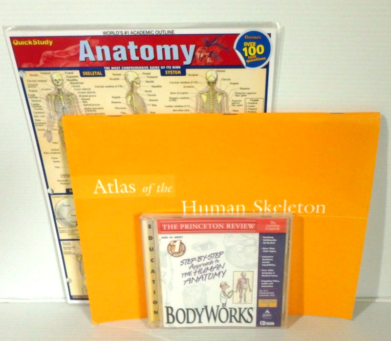 AW Atlas of the Human Skeleton / Anatomy Study Guide / BodyWorks CD – NEW
