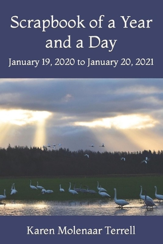 Scrapbook of a Year and a Day: January 19, 2020 to January 20, 2021 by Karen Mol