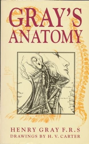 Gray’s Anatomy